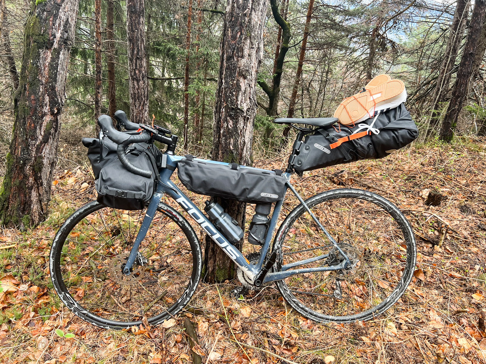 Bild Ein Fahrrad mit 3 verschiedenen Taschen bestückt, steht an einen Baum gelehnt im Bergwald.